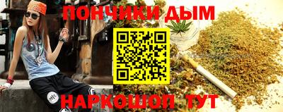 индика Краснознаменск