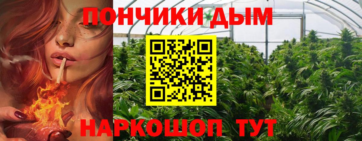 Бошки Шишки MAZAR  Конопля ГИДРОПОН  Бошки марихуана THC 21%  Ефремов  Вход с VPN 